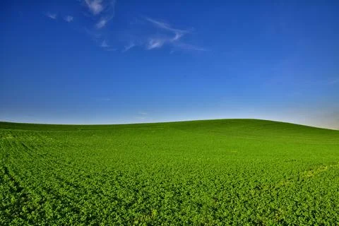 Field, Clean, Blue image Stock Photos
