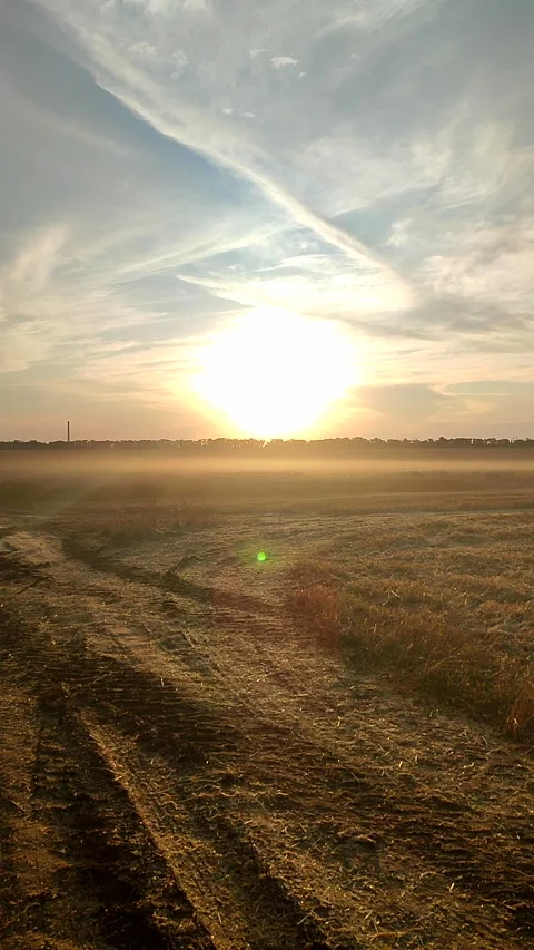 Field cloud dust after harvest sunny summer evening during sunset Vertical Stock Footage 328471029
