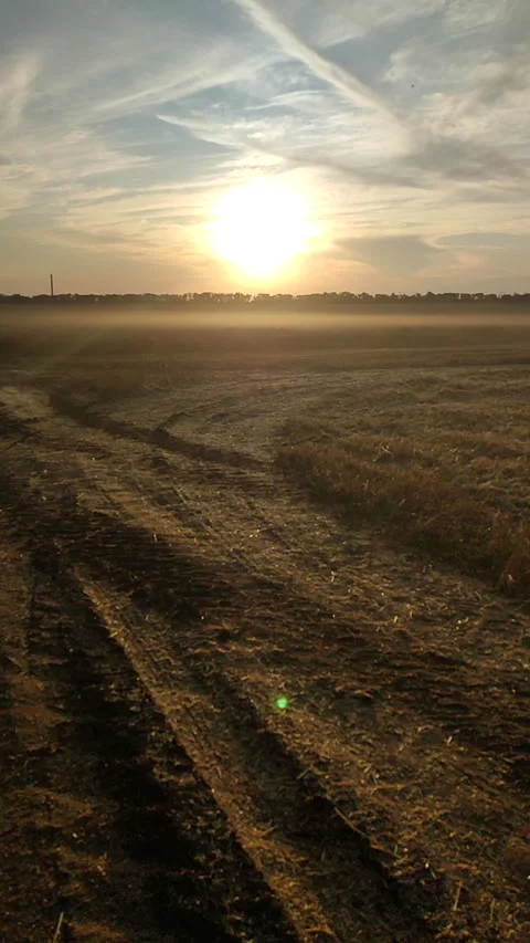 Field cloud dust after harvest sunny summer evening during sunset Vertical Video stock 328610950