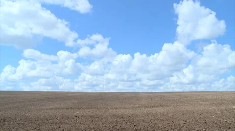 Field in the clouds Stock Footage 49974725