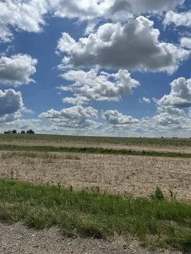 Field, clouds Stock Photos