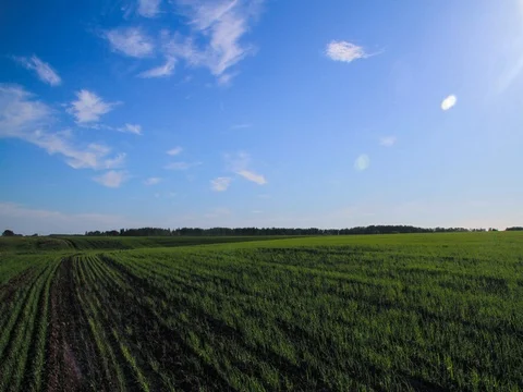 Field with clouds, time lapse Video stock 76472371