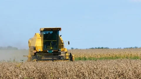 Field combine harvester elevator Stock Footage 58395956
