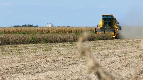 Field combine harvester elevator Video stock 58397445