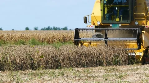 Field combine harvester elevator Stock Footage 58397627