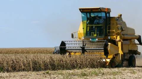 Field combine harvester elevator Stock Footage 58397771