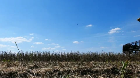 Field combine harvester elevator Stock Footage 58397957