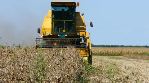 Field combine harvester Stock Footage 58396141