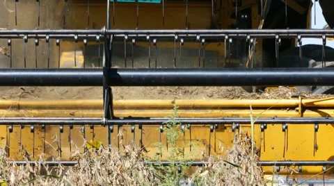Field combine harvester Stock Footage 58396271