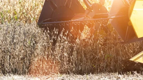 Field combine harvester Stock Footage 58396439