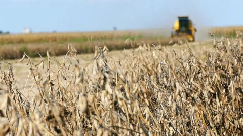 Field combine harvester Stock Footage 58396745