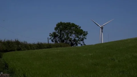 Field of corn blowing with wind turbine in background 4K Video stock 77526547