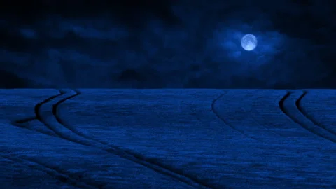 Field Of Corn Rippling In The Moonlight Stock Footage 324667361