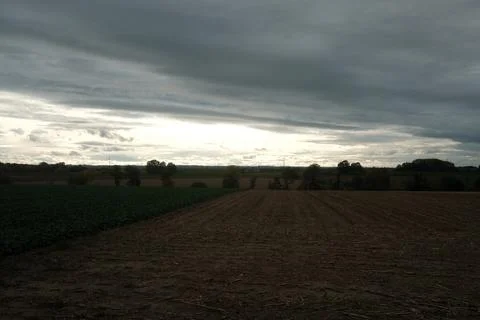 A field of corn is shown in the image, with a cloudy sky overhead Stock Photos