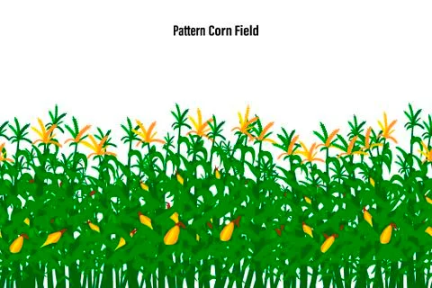 Field of corn on a white background isolated. Pattern Vector illustration Stock Illustration