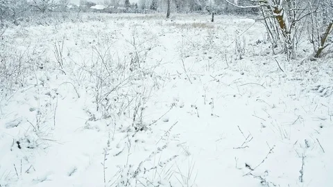 Field covered with snow Stock Footage 83925391