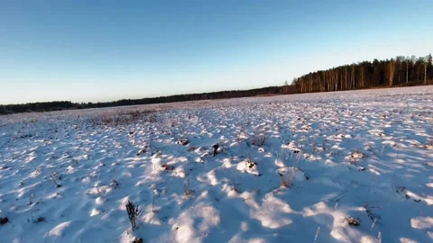 Field covered with snow in the low winter sun in 4K Stock Footage 231684779