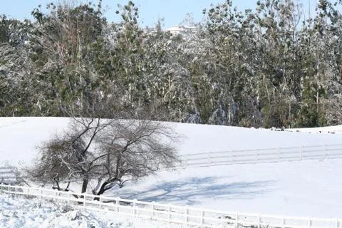 Field covered in snow Stock Photos