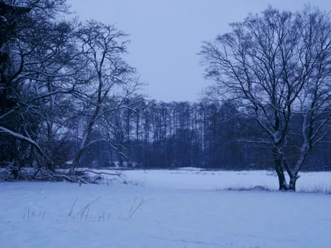 Field covered in snow with trees in the evening Видео 342543643