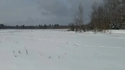 Field covered with snow. Winter landscape. Forest in the snow. Video stock 328516371