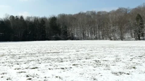 Field covered with snow in winter pan Stock Footage 10701143