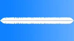 Field Crickets Ambience (Evening, Nature, Summer)Sound Effect