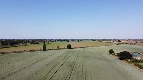 Field of crops Stock Footage 132272420