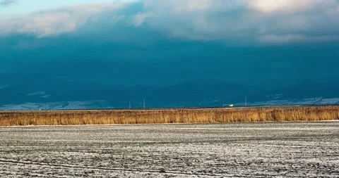 Field of crops with snowy ground on a cloudy day Stock Footage 193436264