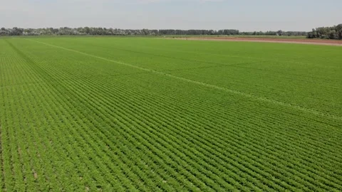 Field cultivation Stock Footage 171564074