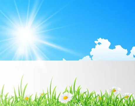 Field of daisies with bright sun Vector illustration of field of daisies w... Stock Photos