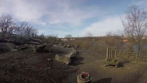 Field day light 库存影片 73660642