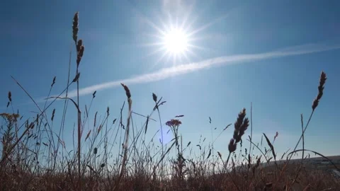 Field Day Timelapse Stock Footage 143109469