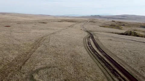 Field destroyed by vehicles with deep tire tracks. Ruined dry grassland, drone 库存影片 323567246