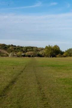 A field with a dirt path in the middle Stock Photos