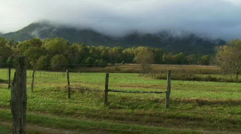 Field of Dreams Stock Footage 534351