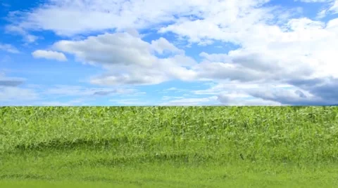 Field-dreams-time lapse Stock Footage 48217836