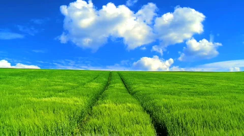 Field of dreams t/lapse Stock Footage 450674