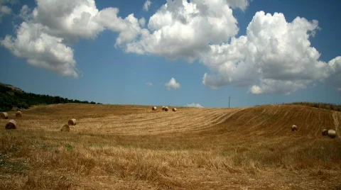Field Of Dry Grass Stock Footage