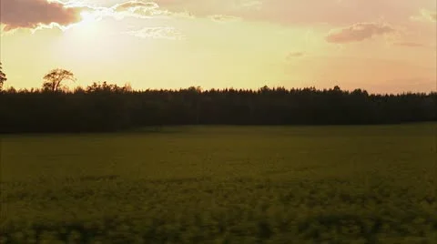 A field in the dusk Stock Footage 11310129