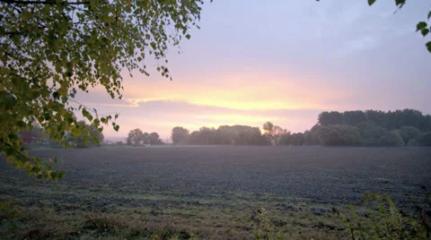 Field at Dusk Video stock 36052684