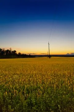 Field at dusk Stock Photos