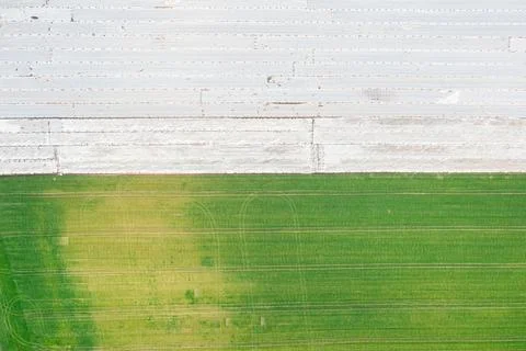 Field in early spring, covered with polyethylene for thermal insulation, gree Stock Photos