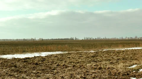Field in the Early Spring Panorama Stock Footage 61560988