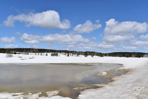 A field in early spring Stock Photos