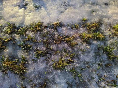 Field in early spring top view in the evening Foto stock