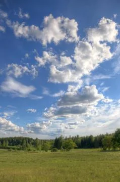 Field on the edge of forests Stock Photos