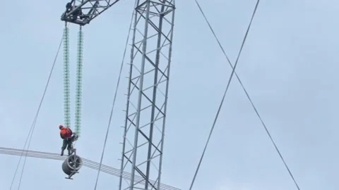 Field Engineers Ensuring Continuous Power Flow Vídeos de archivo 263539564