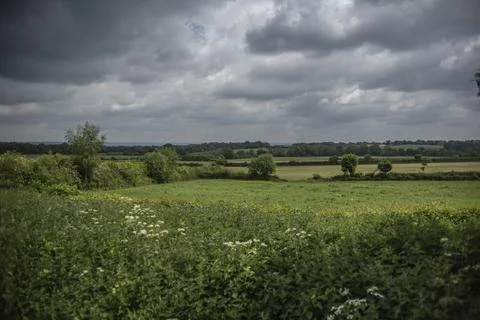 Field of England with Clouds Stock Photos