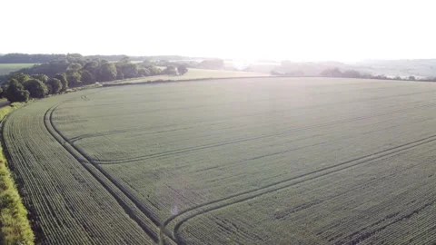 Field England Drone Stock Footage 198539149