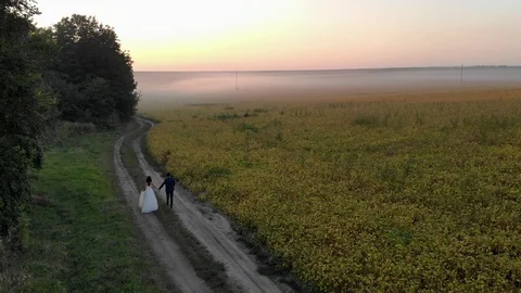 Field in the evening fog at sunset. Two newlyweds are walking near the field Stock Footage 123333738